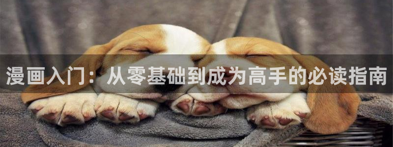包子漫画官方页面入口免费观看：漫画入门：从零基础到成为高手的必读指南